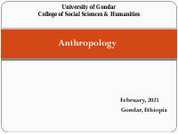 anth all in one.pdf
